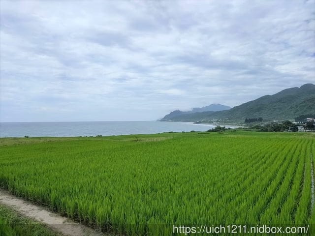 新社梯田