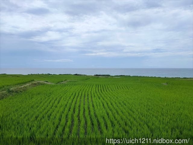 新社梯田