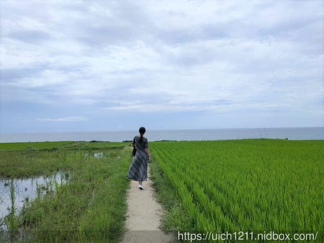 新社梯田