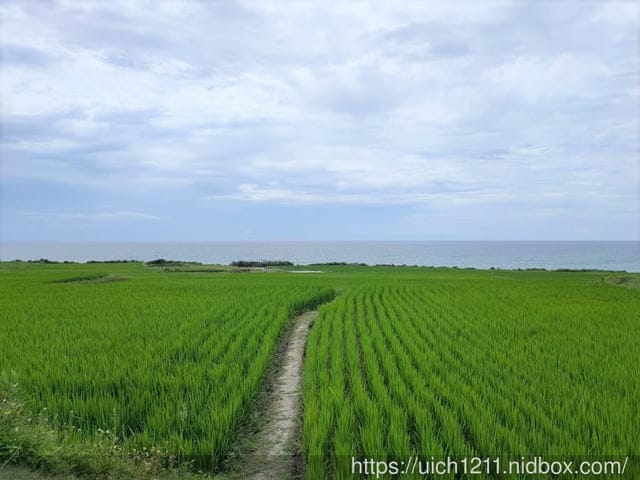 新社梯田