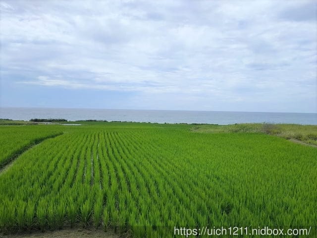 新社梯田