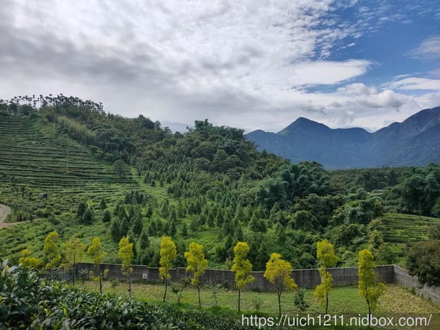 鹿篙咖啡莊園