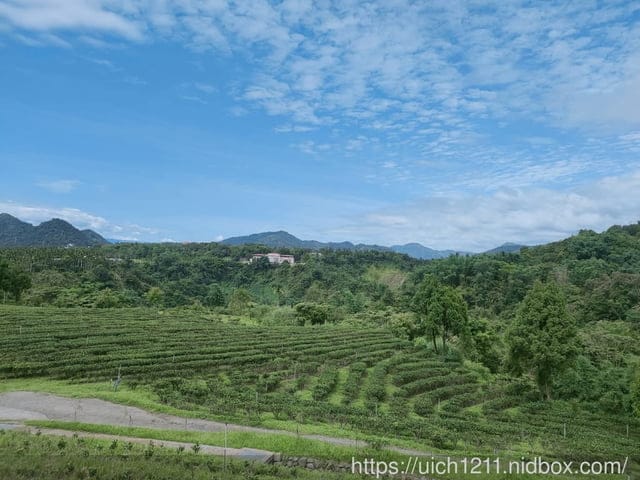 鹿篙咖啡莊園