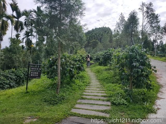 鹿篙咖啡莊園