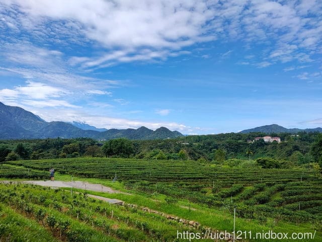 鹿篙咖啡莊園