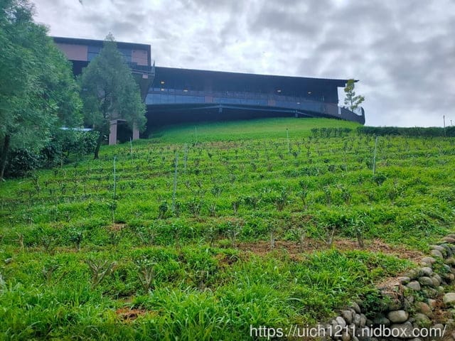 鹿篙咖啡莊園