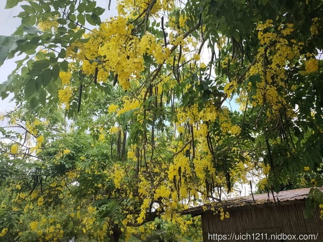 婆婆媽媽南部遊 - 第3張圖 婆婆媽媽南部遊