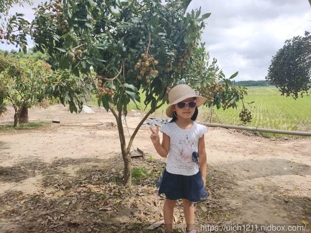 婆婆媽媽南部遊 - 第5張圖 婆婆媽媽南部遊