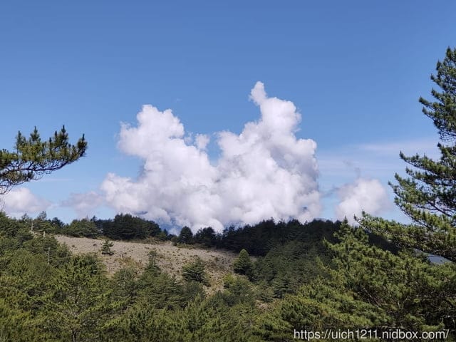 新康橫斷