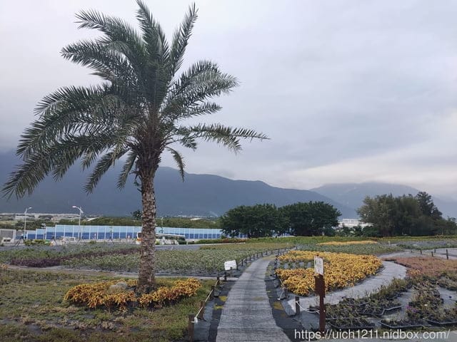 曼波園區四八高地戰備坑道 - 第3張圖 曼波園區四八高地戰備坑道