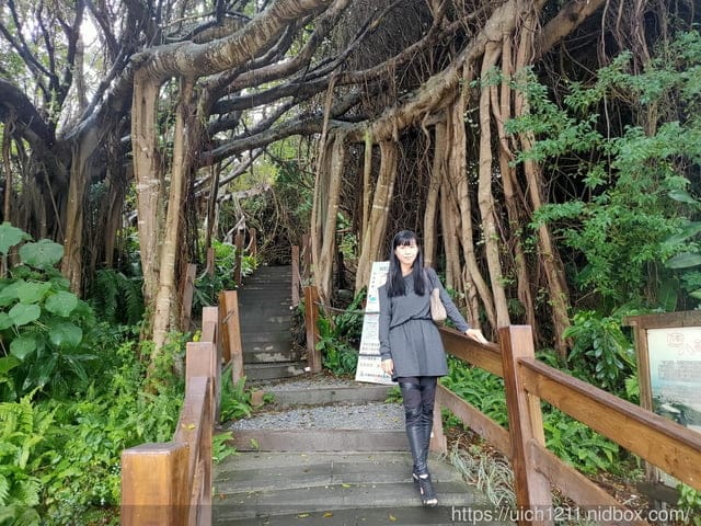 曼波園區四八高地戰備坑道 - 第10張圖 曼波園區四八高地戰備坑道