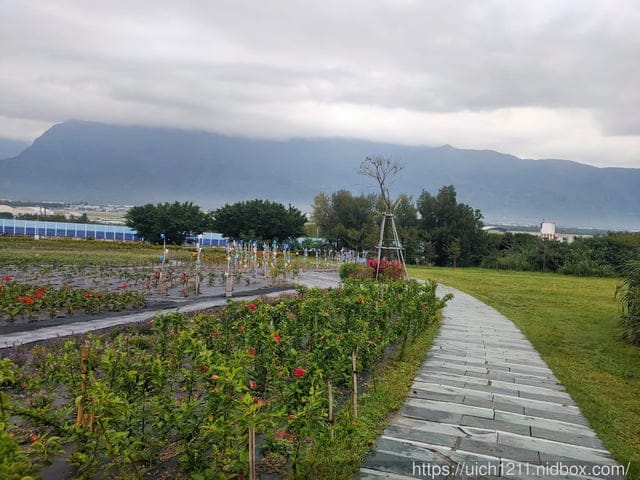 曼波園區四八高地戰備坑道 - 第30張圖 曼波園區四八高地戰備坑道