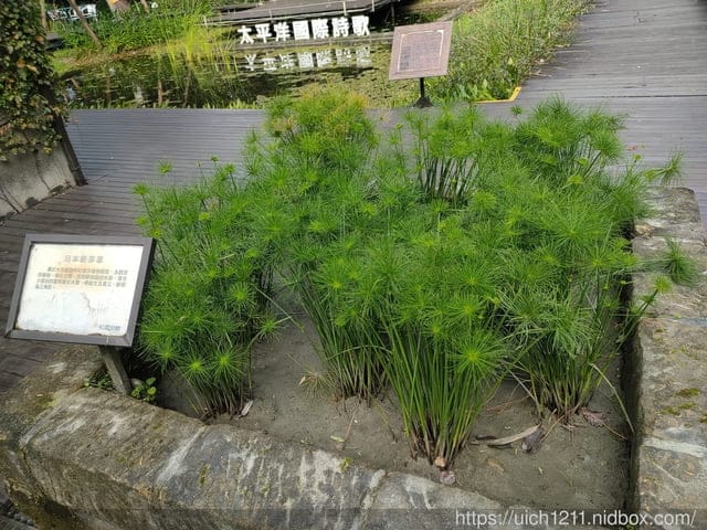 松園別館 - 第12張圖 松園別館
