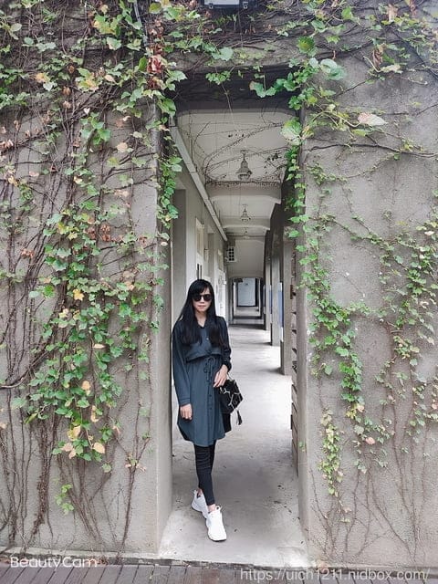 松園別館 - 第37張圖 松園別館