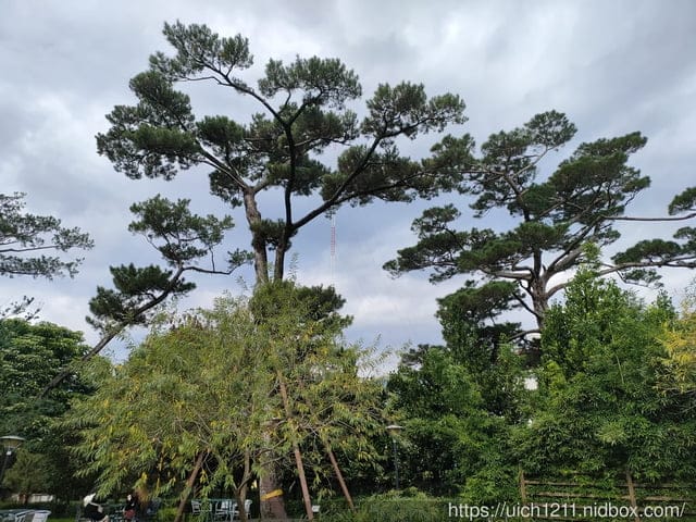 松園別館 - 第34張圖 松園別館