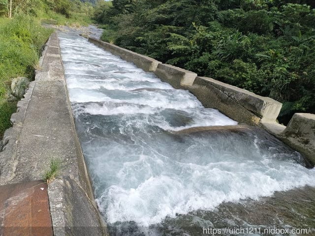 白鮑溪與壹樓貓咖啡 - 第8張圖 白鮑溪與壹樓貓咖啡