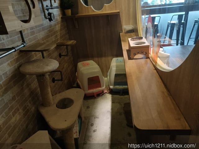 白鮑溪與壹樓貓咖啡 - 第23張圖 白鮑溪與壹樓貓咖啡