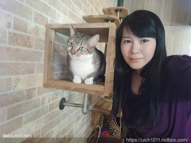白鮑溪與壹樓貓咖啡 - 第28張圖 白鮑溪與壹樓貓咖啡
