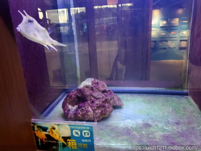 七星潭與欣欣麵館 - 第20張圖 七星潭與欣欣麵館