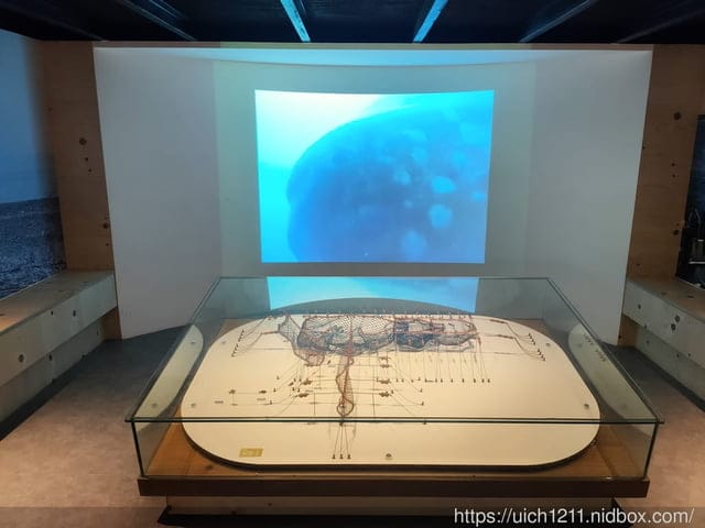 七星潭與欣欣麵館 - 第9張圖 七星潭與欣欣麵館