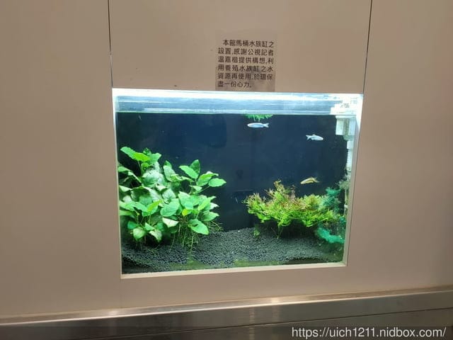 七星潭與欣欣麵館 - 第6張圖 七星潭與欣欣麵館
