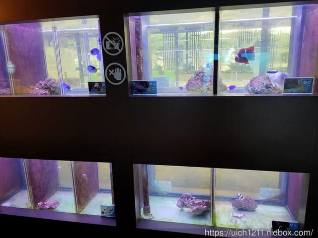 七星潭與欣欣麵館 - 第10張圖 七星潭與欣欣麵館