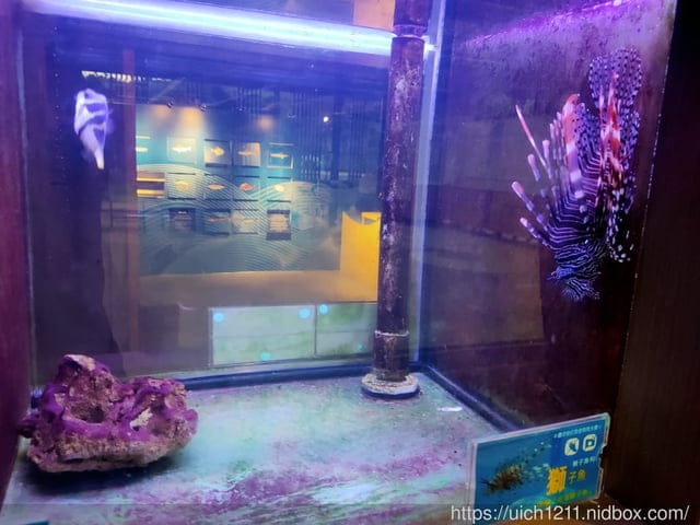 七星潭與欣欣麵館 - 第19張圖 七星潭與欣欣麵館