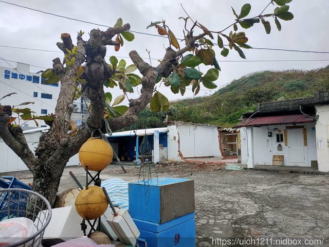 七星潭與欣欣麵館 - 第45張圖 七星潭與欣欣麵館