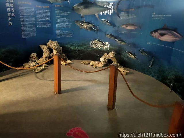 七星潭與欣欣麵館 - 第11張圖 七星潭與欣欣麵館