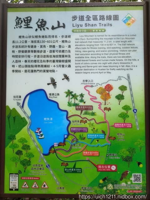 鯉魚山 - 第20張圖 鯉魚山