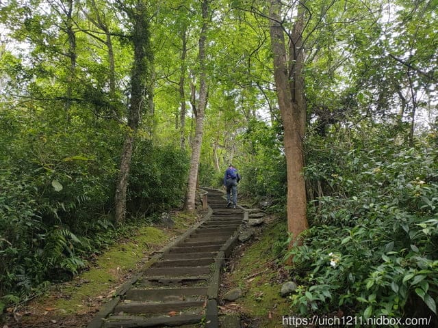 鯉魚山 - 第17張圖 鯉魚山