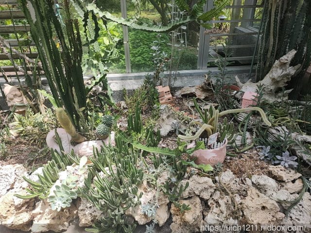 織夢樂園