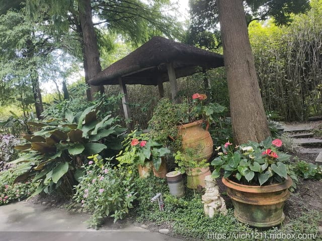 織夢樂園