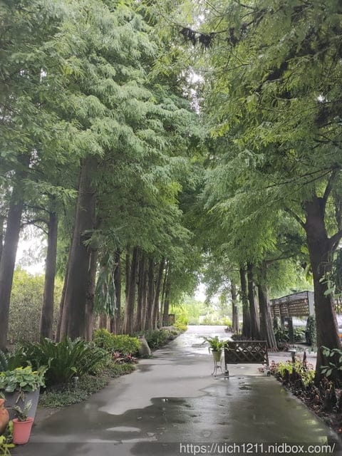 織夢樂園