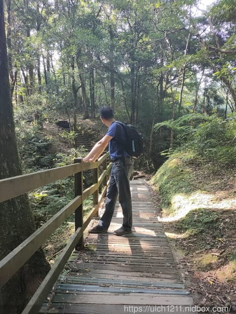 東眼山森林遊樂區 - 第18張圖 東眼山森林遊樂區