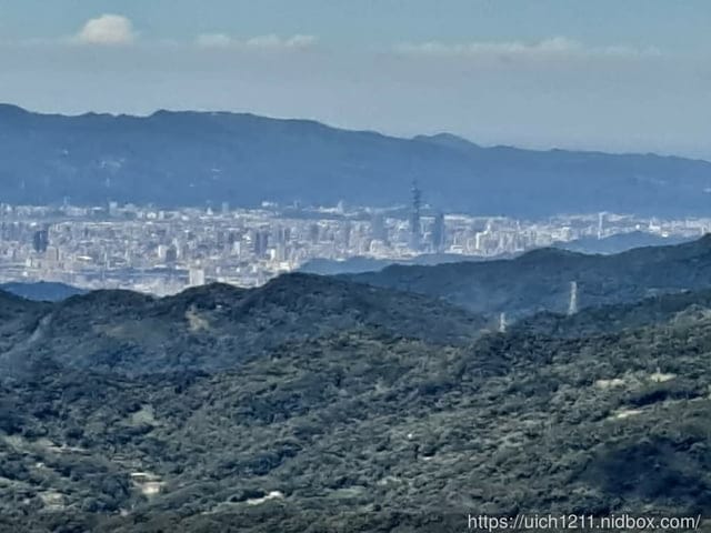 東眼山森林遊樂區 - 第22張圖 東眼山森林遊樂區