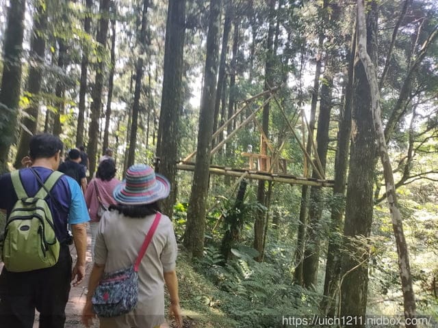 東眼山森林遊樂區 - 第5張圖 東眼山森林遊樂區