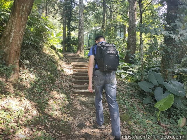 東眼山森林遊樂區 - 第11張圖 東眼山森林遊樂區