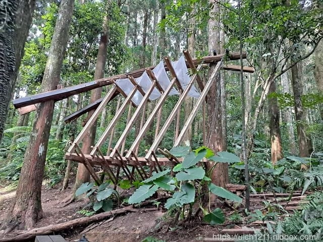 東眼山森林遊樂區 - 第21張圖 東眼山森林遊樂區