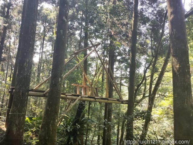 東眼山森林遊樂區 - 第6張圖 東眼山森林遊樂區