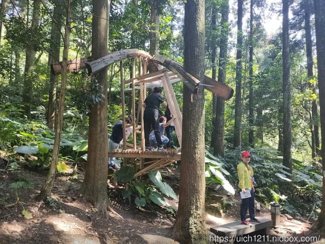 東眼山森林遊樂區 - 第9張圖 東眼山森林遊樂區