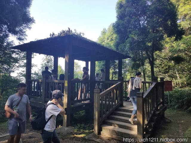 東眼山森林遊樂區 - 第17張圖 東眼山森林遊樂區