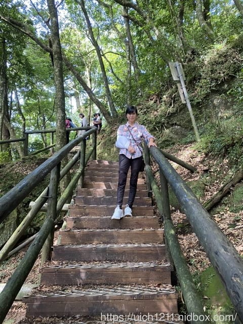 東眼山森林遊樂區 - 第4張圖 東眼山森林遊樂區
