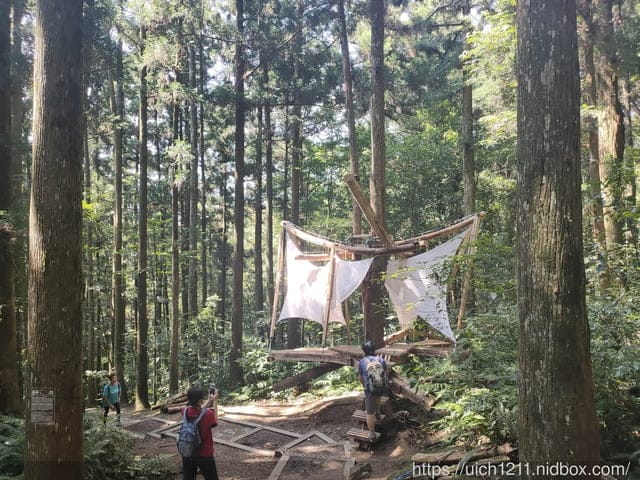 東眼山森林遊樂區 - 第10張圖 東眼山森林遊樂區
