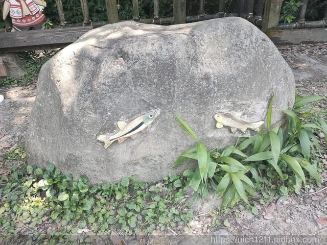苗栗之旅 - 第8張圖 苗栗之旅