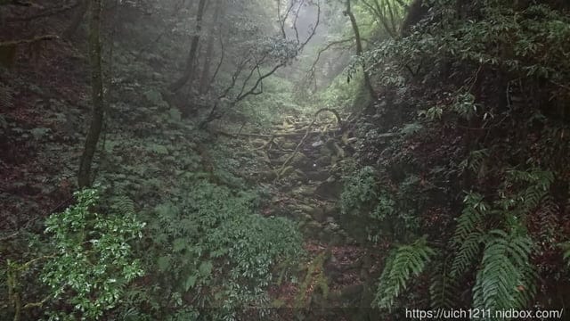 能高越嶺古道