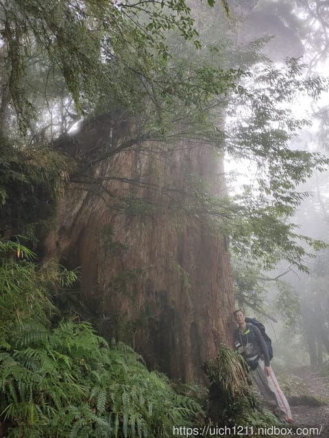 能高越嶺古道