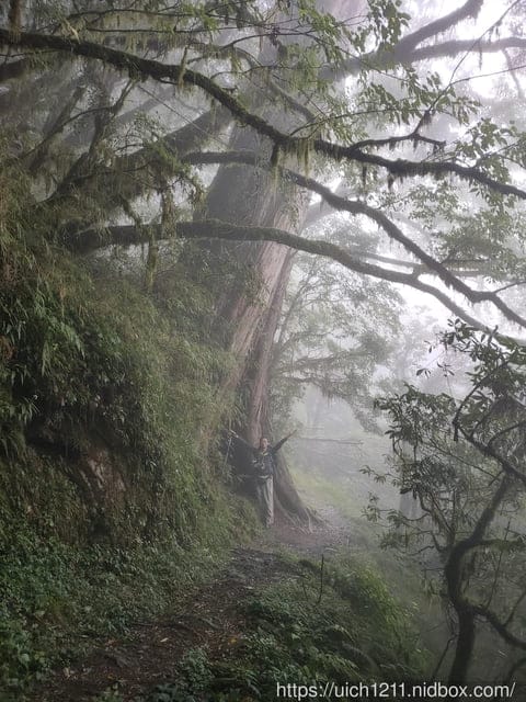 能高越嶺古道