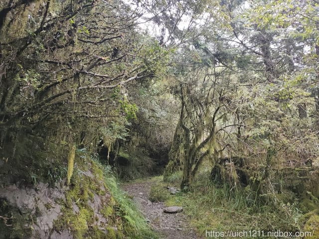 能高越嶺古道