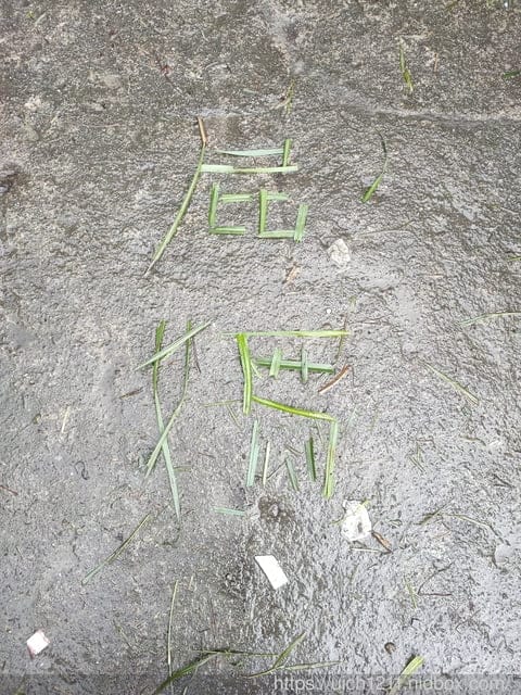 能高越嶺古道